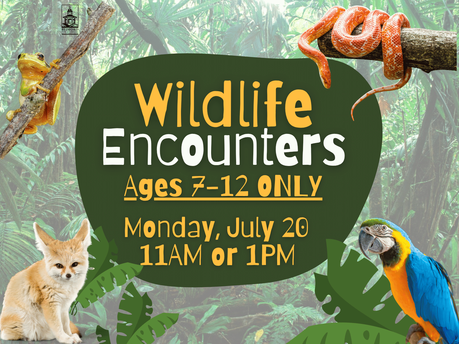 Wildlife Encounters for ages 7 to 12