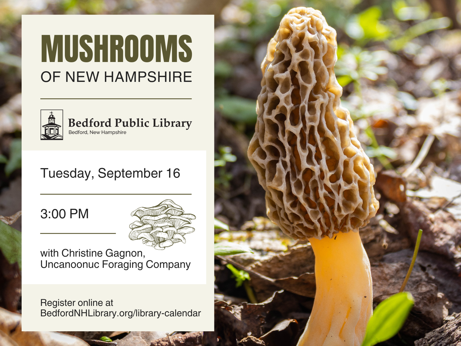 Mushrooms of New Hampshire