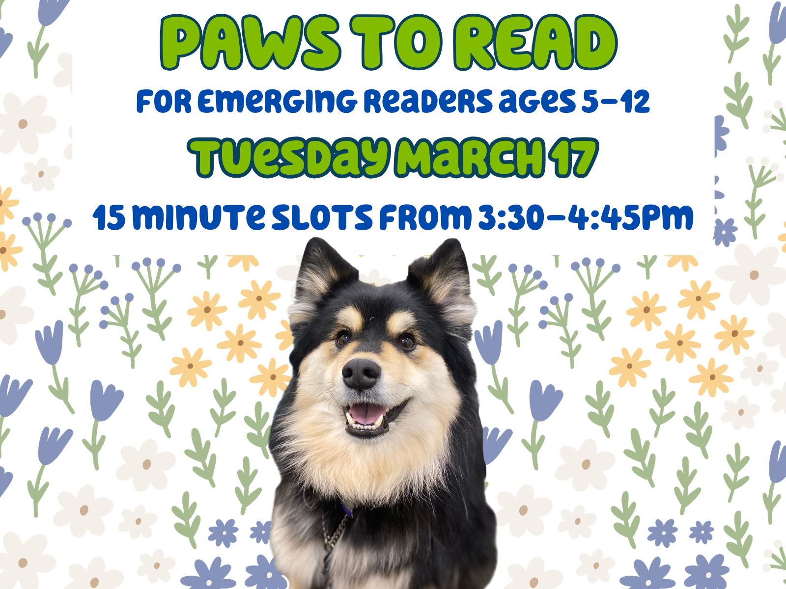 Paws to Read with Willow