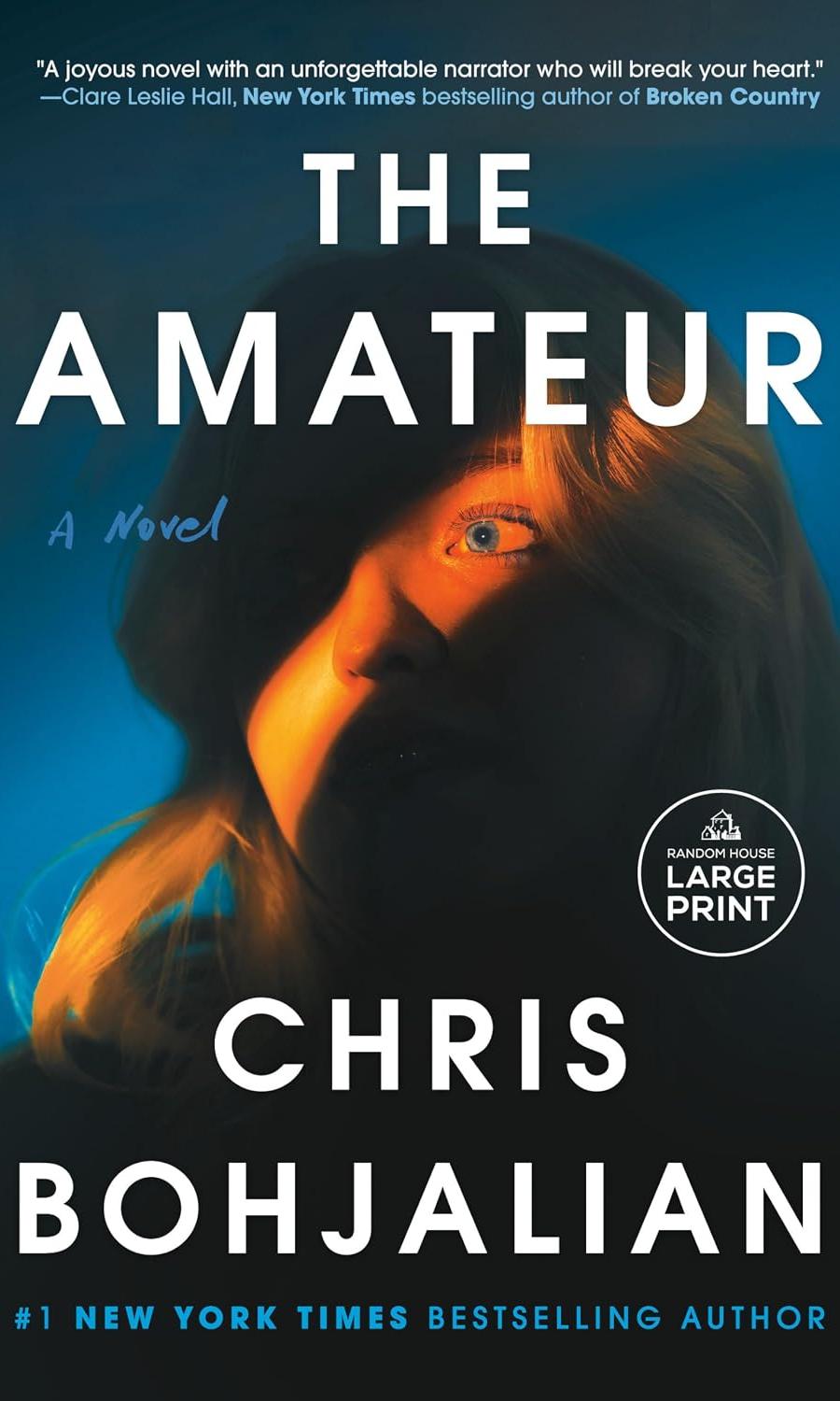 The Amateur by Chris Bohjalian in large print