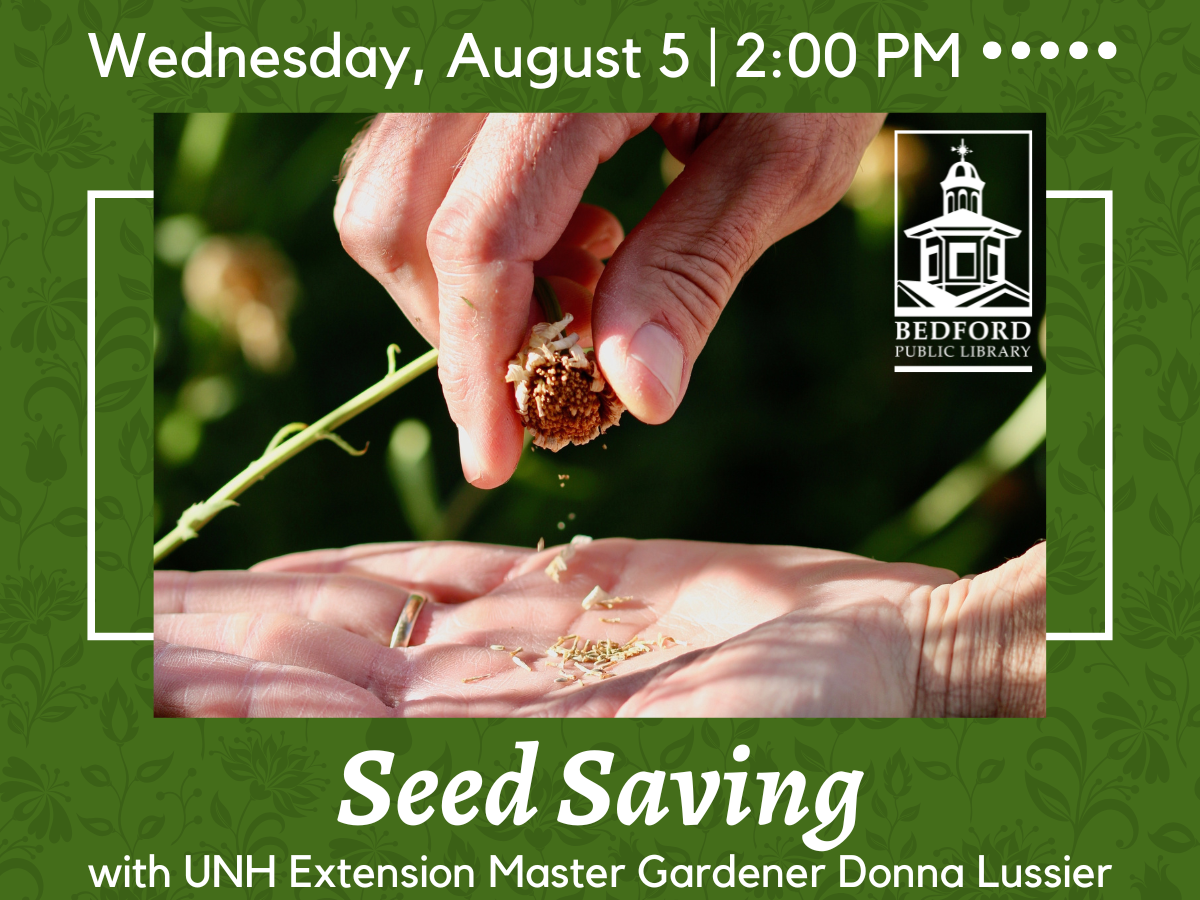 Seed Saving UNH Extension Master Gardener