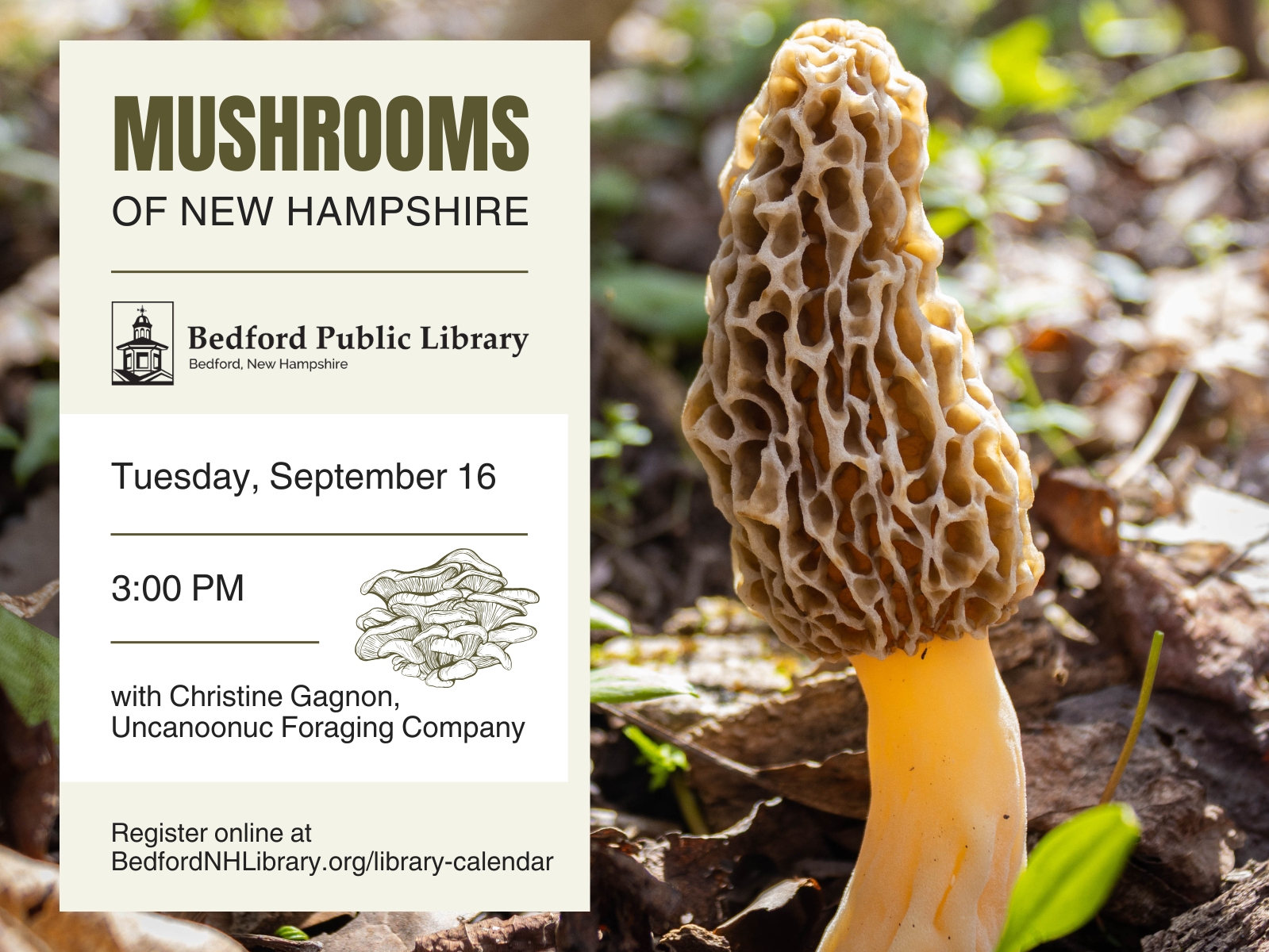 Mushrooms of New Hampshire
