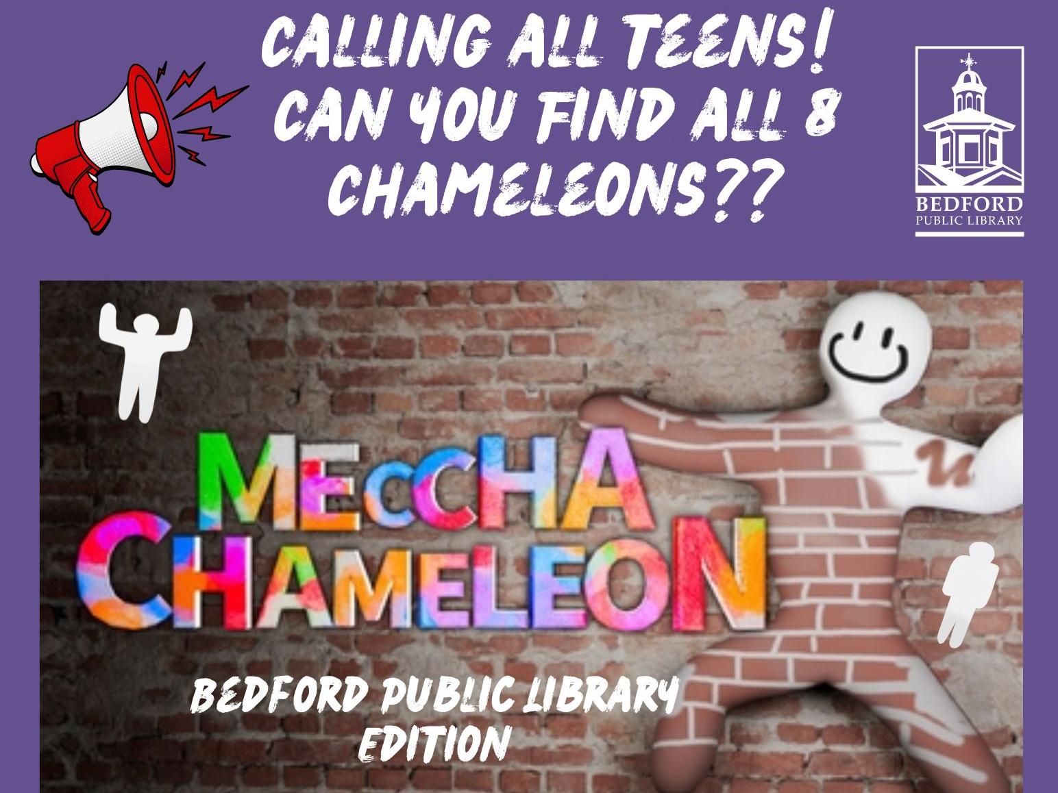 A giant white stick figure is attemptong to blend in with a brick background. The words Meccha Chameleon in various colors is written across the brick. 