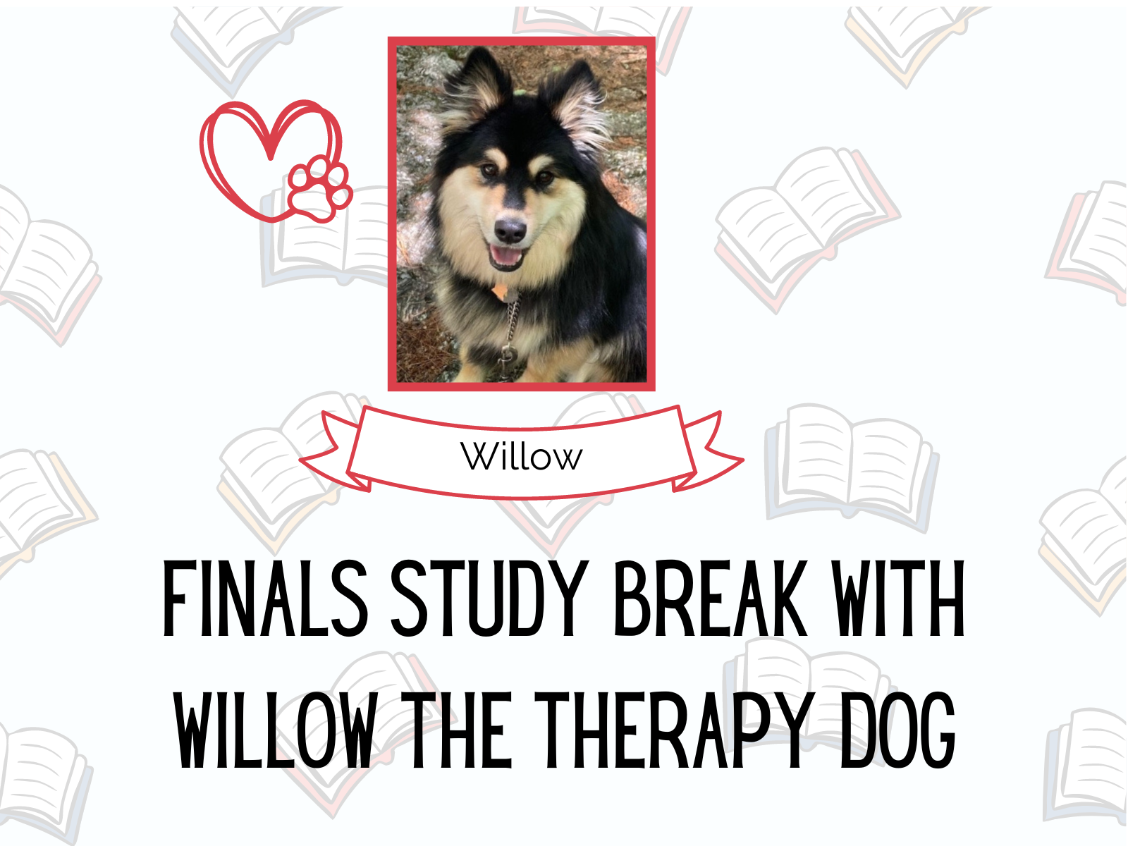 Finals Study Break with Willow the Therapy Dog