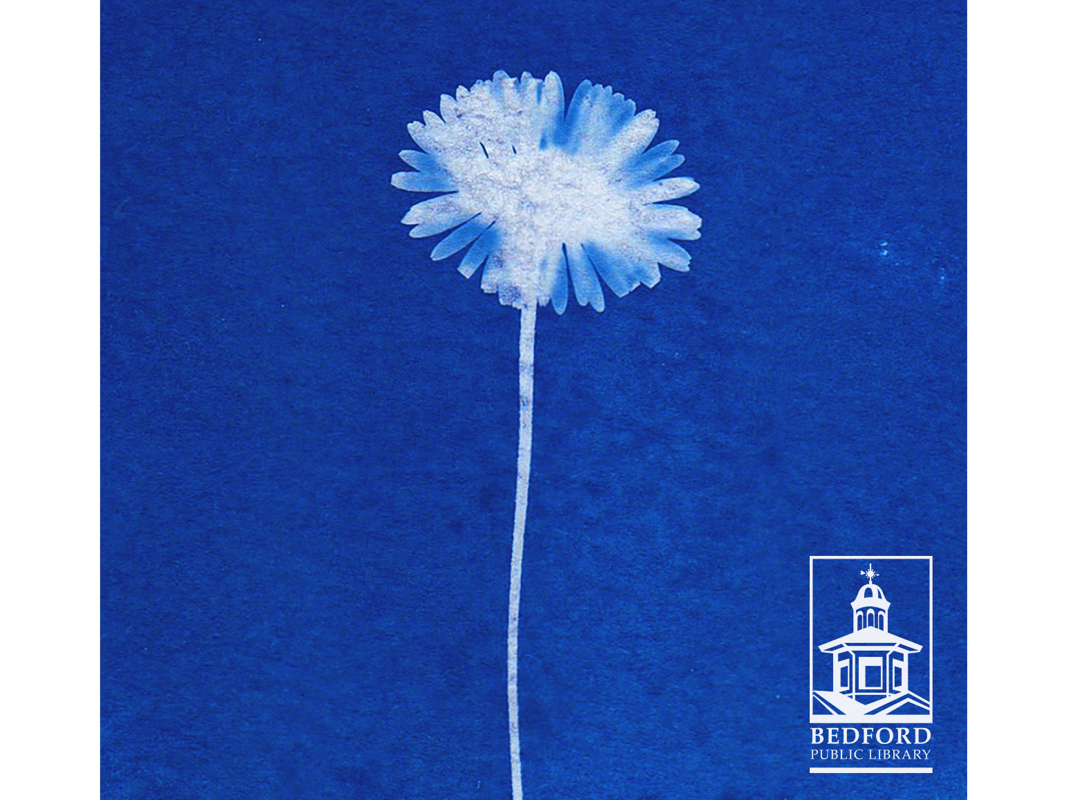 A dark blue background with a negative imprint of a dandelion in the middle of the image